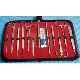 Dissecting Set