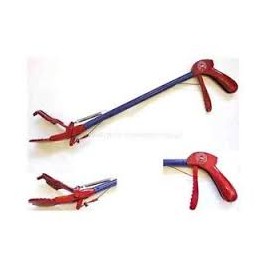 England Reptile Snake Catcher