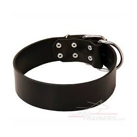 Leather Collar