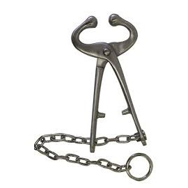Bull Holder with Chain