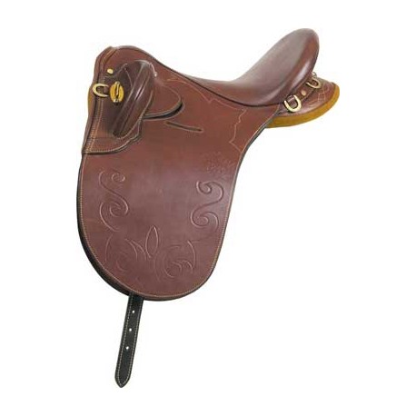 Syd Hill Northern Barcoo with Horn