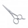 Economy Scissors
