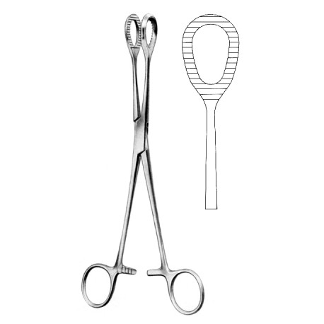 Tongue Holding Forceps