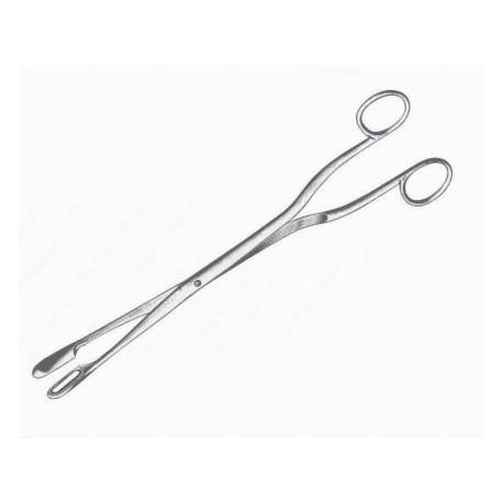 Winter Forceps