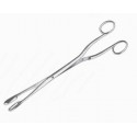 Winter Forceps