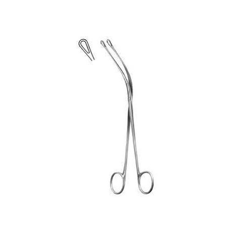 Mixter Gall Stone Forcesp