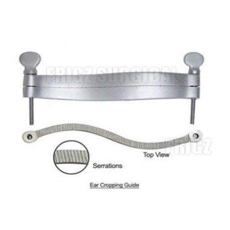 Pit-bull Ear Cropping Guide