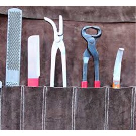 Hoof Tools Make Cattle Care Easier