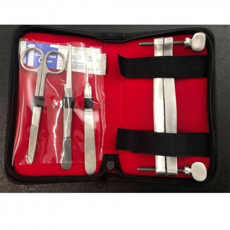 Schnauzer Ear Cropping Guide