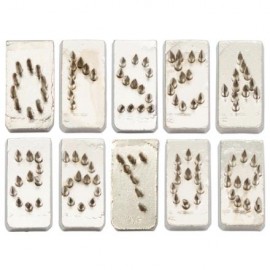 Set numbers (0-9) Forceps Tattoo